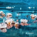 会把小白花送到离它根叶很远很远的地方