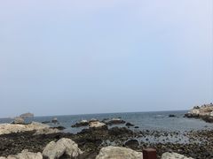 -养马岛旅游度假区