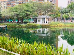 -四海公园(南山区)