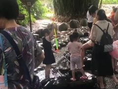 -成都市活水公园