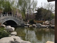-西安青龙寺遗址景区