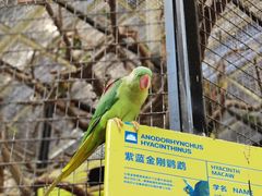 -北京野生动物园