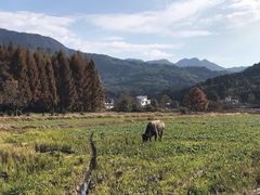 -塔川景区
