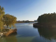 -大兴滨河森林公园