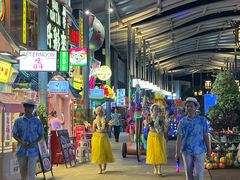 -三亚海昌梦幻海洋不夜城