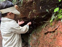 -赤水丹霞旅游区·大瀑布