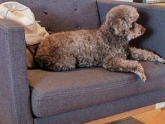 -北京燕豪汽车销售服务有限公司