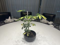 -新廊桥(原科华廊桥店)