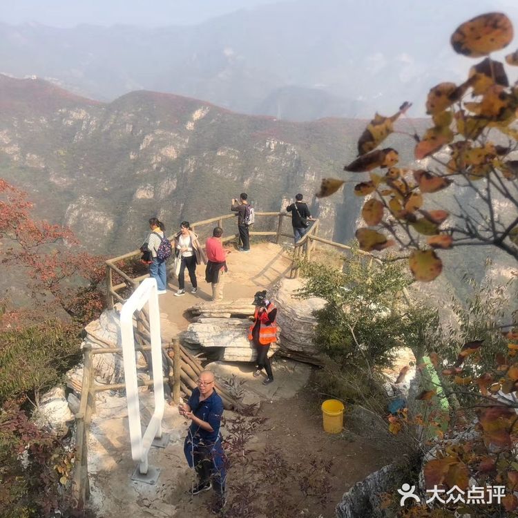 臭豆腐的，面条的个人比较喜欢小柿子
