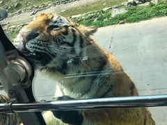 -西安秦岭野生动物园