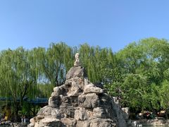 -团结湖公园