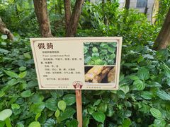 -广州神农草堂中医药博物馆