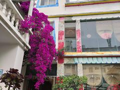 -尼玛藏家风味园(阿山食城店)