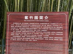 -鲁山国家森林公园