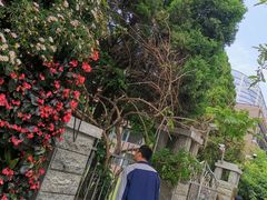 -岳阳道小学(大理道校区)