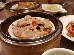 -金燕岛潮州酒楼