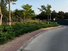 -绿堤公园