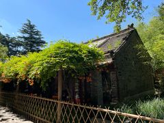 -洛阳白马寺