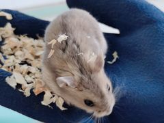 -怪兽屋·羊驼·猫咖·狗咖(俊华广场店)