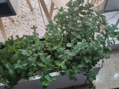 -清真全盛斋传统糕点(许士庙店)