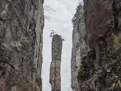 -恩施大峡谷