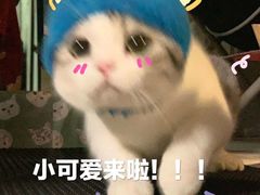 -胖哥俩肉蟹煲(福州仓山爱琴海店)