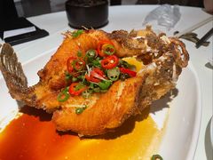 -侨美·唐荔园·40年地道粤菜