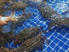 -济南海鲜大市场