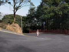 -黄埔油麻山森林公园