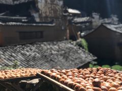 -杨家堂村