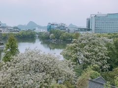 -忆咖啡观景餐厅(桂林象山公园店)