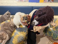 -平行世界·猫咖(首经贸店)