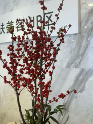-长沙雅美医疗美容医院