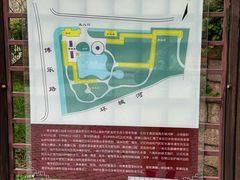 -嘉定紫藤园