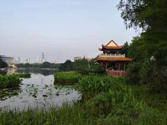 -东山湖公园
