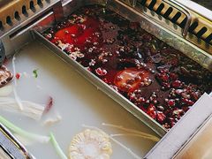 -蜀九鼎毛肚火锅(惠安店)