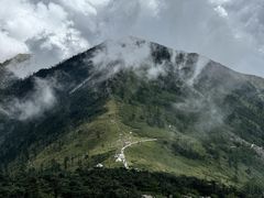 -朱雀国家森林公园