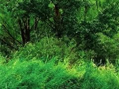 -野鸭湖国家湿地公园