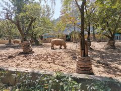 -西安秦岭野生动物园