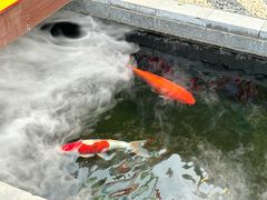 -西安市广仁寺