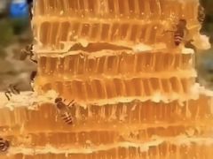 -万达广场(东莞厚街店)