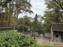 -镇江市南山风景名胜区竹林景区