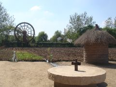 -溱湖国家湿地公园