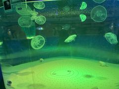 -南戴河国际娱乐中心