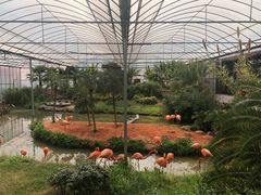 -无锡动物园·太湖欢乐园