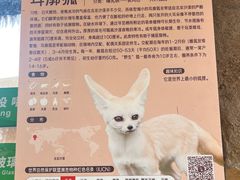 -武汉动物园