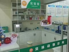 化验室和药房-贝林动物诊所