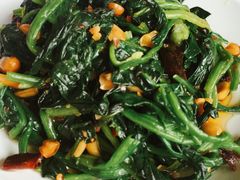 -张家老店全牛汤(院校街总店)