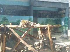 -昆明动物园