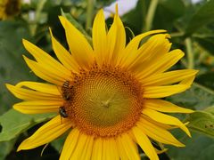 -苏州吴中太湖旅游区